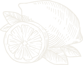 eine silhouettenhaft gezeichnete Zitrone als Symbolbild für italienische Feinkost